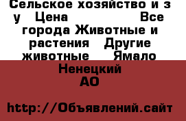 Сельское хозяйство и з/у › Цена ­ 2 500 000 - Все города Животные и растения » Другие животные   . Ямало-Ненецкий АО